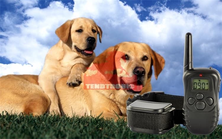 -10-9-pcs pet training collar dog remote training system multi-function pets electronics smart collar